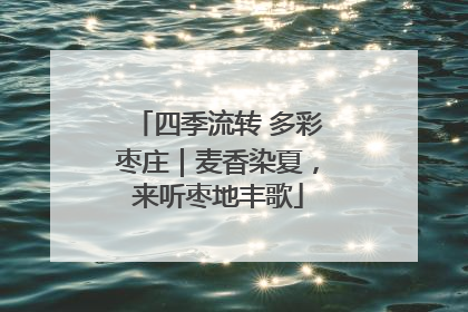 四季流转 多彩枣庄｜麦香染夏，来听枣地丰歌