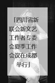 四川省新联会新文艺工作者专委会夏季工作会议在成都举行