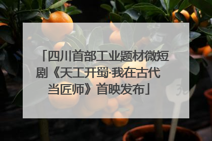 四川首部工业题材微短剧《天工开蜀·我在古代当匠师》首映发布