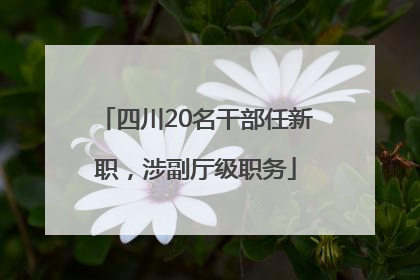 四川20名干部任新职，涉副厅级职务