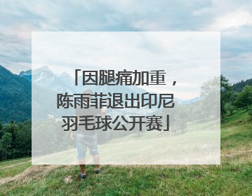 因腿痛加重，陈雨菲退出印尼羽毛球公开赛