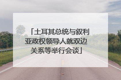 土耳其总统与叙利亚政权领导人就双边关系等举行会谈