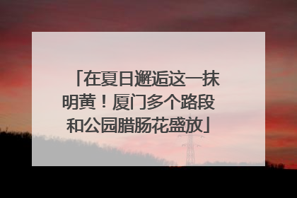 在夏日邂逅这一抹明黄！厦门多个路段和公园腊肠花盛放
