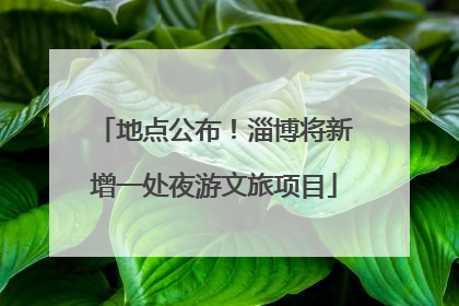 地点公布！淄博将新增一处夜游文旅项目