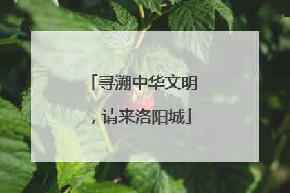 寻溯中华文明，请来洛阳城