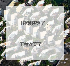 孙颖莎哭了，王楚钦笑了