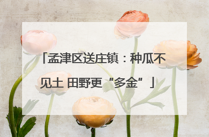 孟津区送庄镇：种瓜不见土 田野更“多金”