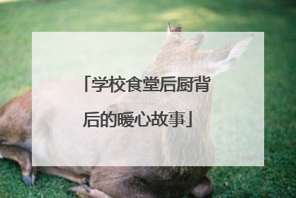 学校食堂后厨背后的暖心故事
