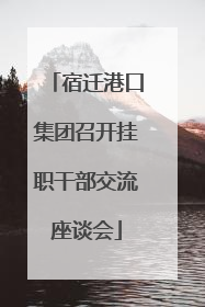 宿迁港口集团召开挂职干部交流座谈会