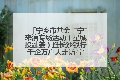 宁乡市基金“宁”来演专场活动（星城投融荟）暨长沙银行千企万户大走访·宁乡专场活动举行