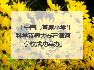 宁国市首届小学生科学素养大赛在津河学校成功举办