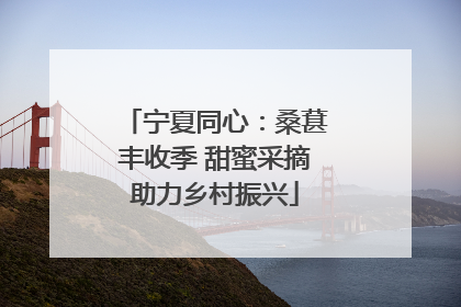 宁夏同心：桑葚丰收季 甜蜜采摘助力乡村振兴