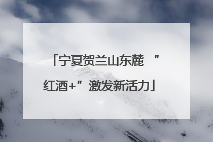 宁夏贺兰山东麓 “红酒+”激发新活力