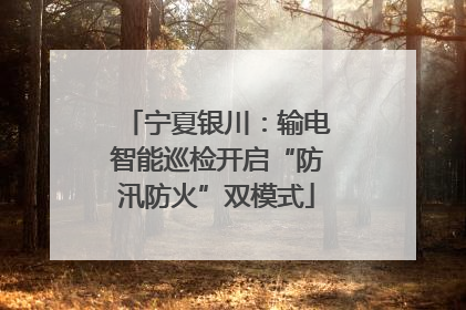 宁夏银川：输电智能巡检开启“防汛防火”双模式