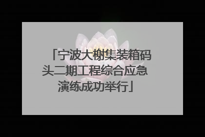 宁波大榭集装箱码头二期工程综合应急演练成功举行