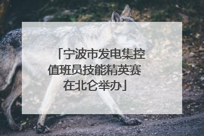宁波市发电集控值班员技能精英赛在北仑举办