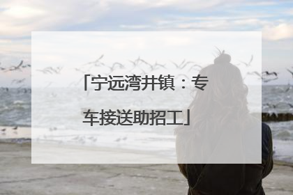 宁远湾井镇：专车接送助招工