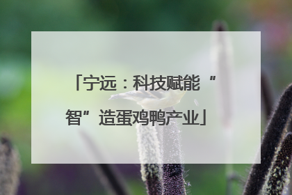宁远：科技赋能“智”造蛋鸡鸭产业