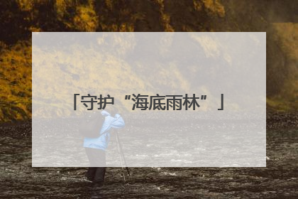 守护“海底雨林”