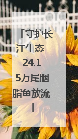 守护长江生态 24.15万尾胭脂鱼放流