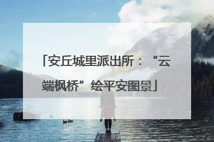 安丘城里派出所：“云端枫桥”绘平安图景