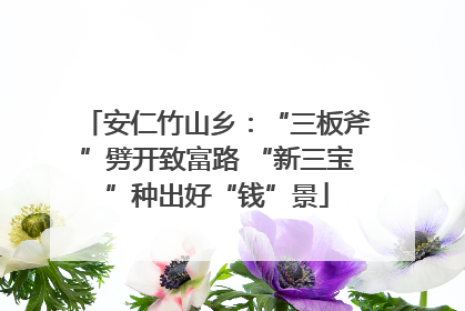 安仁竹山乡：“三板斧”劈开致富路 “新三宝”种出好“钱”景