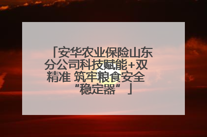 安华农业保险山东分公司科技赋能+双精准 筑牢粮食安全“稳定器”