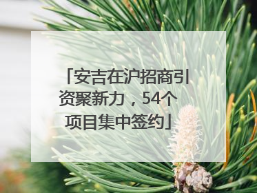 安吉在沪招商引资聚新力，54个项目集中签约