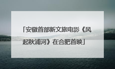 安徽首部新文旅电影《风起秋浦河》在合肥首映