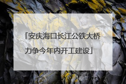 安庆海口长江公铁大桥力争今年内开工建设