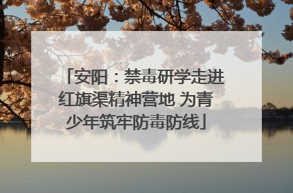 安阳：禁毒研学走进红旗渠精神营地 为青少年筑牢防毒防线