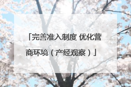 完善准入制度 优化营商环境（产经观察）