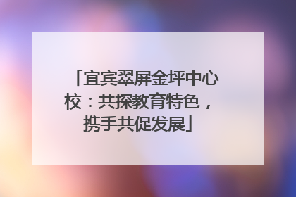 宜宾翠屏金坪中心校：共探教育特色，携手共促发展