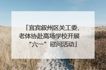 宜宾叙州区关工委、老体协赴高场学校开展“六一”慰问活动