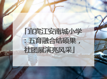 宜宾江安南城小学：五育融合结硕果，社团展演亮风采