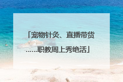 宠物针灸、直播带货……职教周上秀绝活