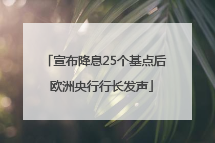 宣布降息25个基点后 欧洲央行行长发声
