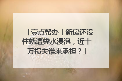 壹点帮办丨新房还没住就遭粪水浸泡，近十万损失谁来承担？
