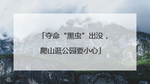 夺命“黑虫”出没，爬山逛公园要小心