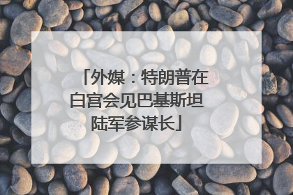 外媒：特朗普在白宫会见巴基斯坦陆军参谋长