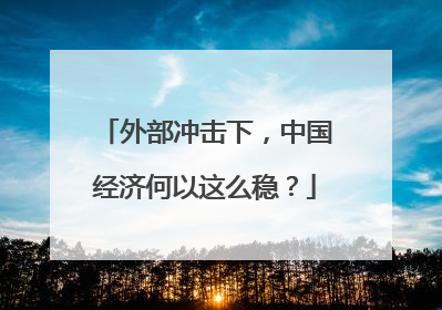 外部冲击下，中国经济何以这么稳？