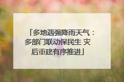 多地遇强降雨天气：多部门联动保民生 灾后重建有序推进