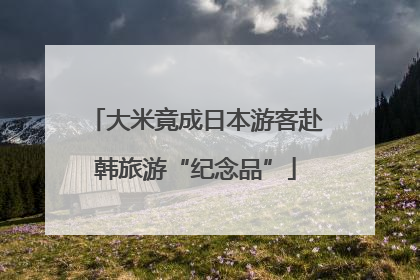 大米竟成日本游客赴韩旅游“纪念品”