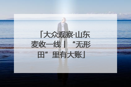 大众观察·山东麦收一线丨“无形田”里有大账