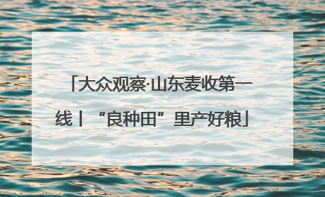 大众观察·山东麦收第一线丨“良种田”里产好粮