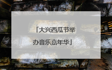 大兴西瓜节举办音乐嘉年华