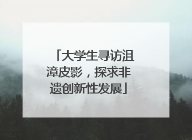 大学生寻访沮漳皮影，探求非遗创新性发展
