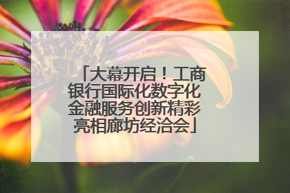 大幕开启！工商银行国际化数字化金融服务创新精彩亮相廊坊经洽会