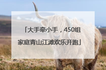 大手牵小手，450组家庭青山江滩欢乐开跑