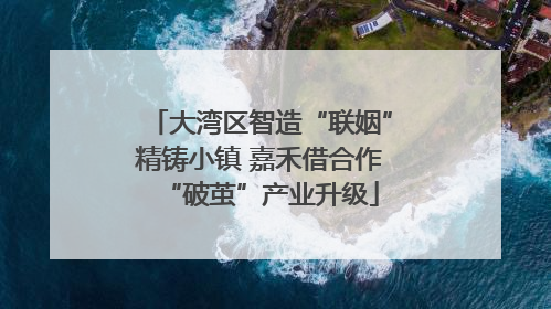 大湾区智造“联姻”精铸小镇 嘉禾借合作“破茧”产业升级